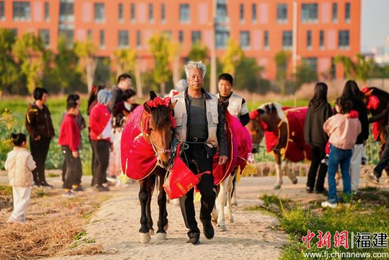 �����������롰״Ԫţ�ı��������������С�