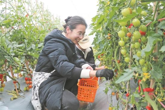 �ο������ժ��Ȥ