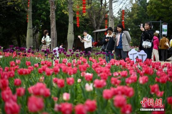 2��23�գ�������ο͹ۿ������㻨չ����������� ������ ��