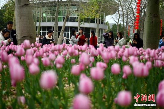 2��23�գ�������ο͹ۿ������㻨չ����������� ������ ��