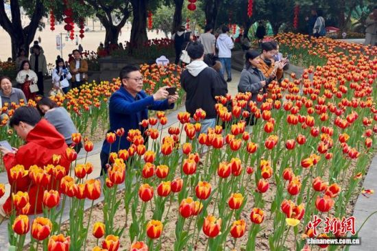 2��23�գ�������ο͹ۿ������㻨չ����������� ������ ��