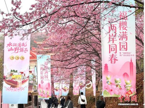 ͼΪ�ο�������ӣ��԰�С�������