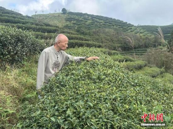 2025��10�£���ʤ̶����������Ѳ�԰�쿴���������������(�ܷ��߹�ͼ)