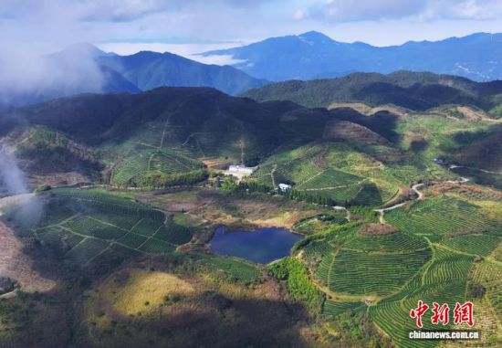 2025��10�£������������ϴ�Ժ������(����)�����ĺ��� ��