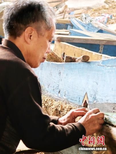 2月28日,中国水密隔舱福船制造技艺国家级非物质文化遗产代表性传承人刘细秀演示水密隔舱福船制造技艺中的稔缝工艺。中新网记者叶茂 摄 2月28日,中国水密隔舱福船制造技艺国家级非物质文化遗产代表性传承人刘细秀演示水密隔舱福船制造技艺中的稔缝工艺。中新网记者叶茂 摄