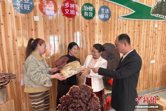 �ණӢ(���)����֥��վΪ��ҽ�����֥������������ ������ ��