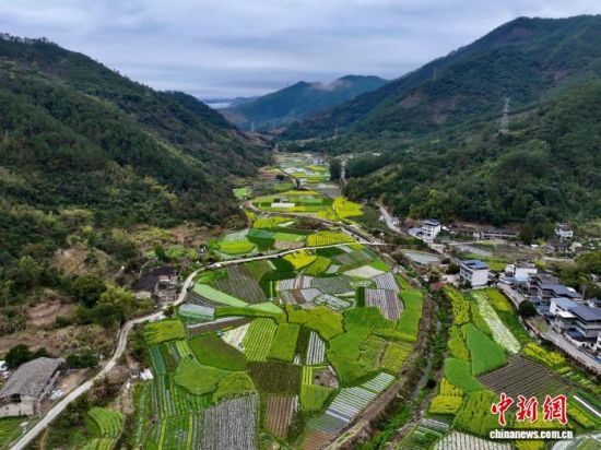 ͼΪ���к��ĸ��������������������Ұ�������˻���Ƭ����������� ������ ��