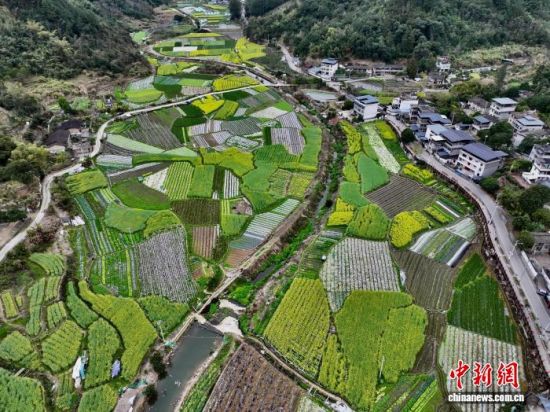 ͼΪ���к��ĸ��������������������Ұ�������˻���Ƭ����������� ������ ��