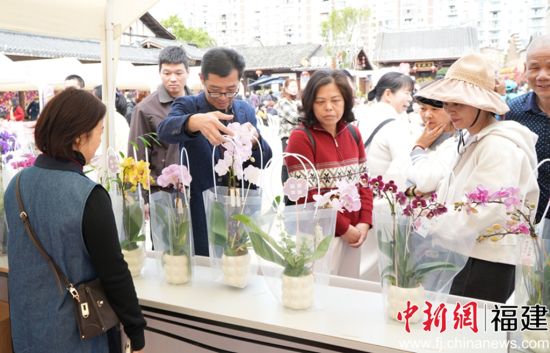 �����ο��ֳ�ѡ�����ܡ�ɳ������ý�����Ĺ�ͼ