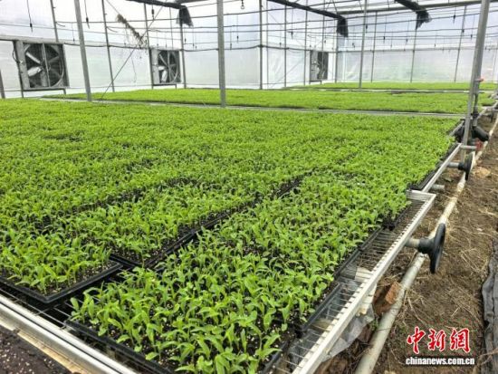 ͼΪ����������ء���������ý�����Ĺ�ͼ