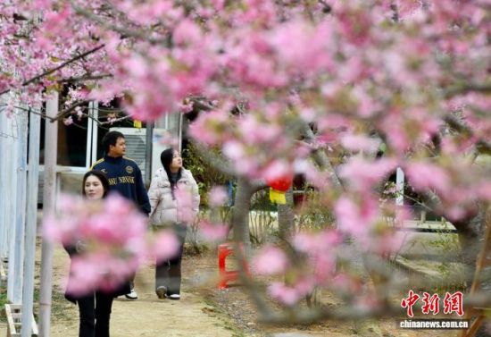 3��9�գ��ο���ӣ��԰���ͻ������������ ������ ��