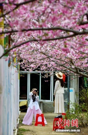 3��9�գ��ο���ӣ��԰�����մ򿨡���������� ������ ��