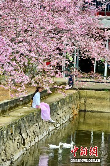 3��9�գ��ο���ӣ��԰���ͻ������������ ������ ��