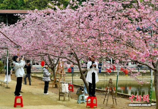 3��9�գ��ο���ӣ��԰�����մ򿨡���������� ������ ��