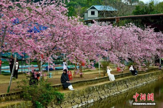 3��9�գ��ο���ӣ��԰���ͻ������������ ������ ��