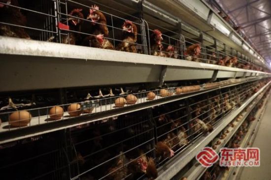 ��׼������