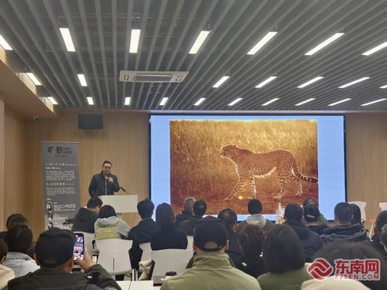 �ֳ�������������������