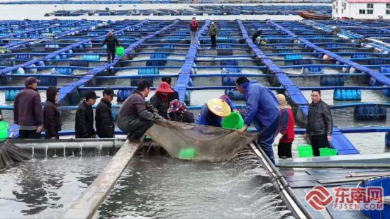 ��������Ӵ�����Ҩ����������ƽ�ȵ������������ϼ������ý������ ��ͼ