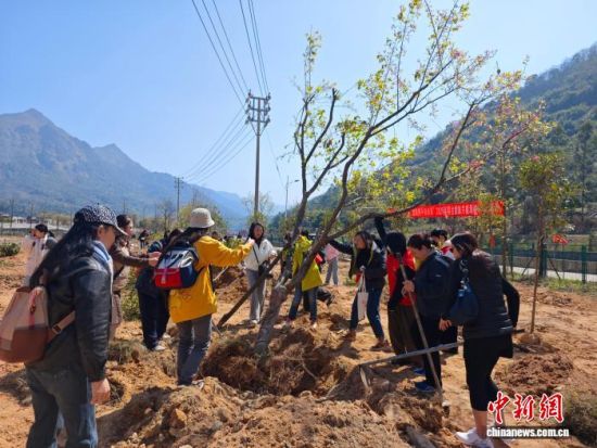 11�գ���������ֲͬ���� ��̨Я����δ����2026����̨���ù�ֲ��Ͽ�����ֻ�ڸ�������Դ�ؾ��С���������̨����ͼ