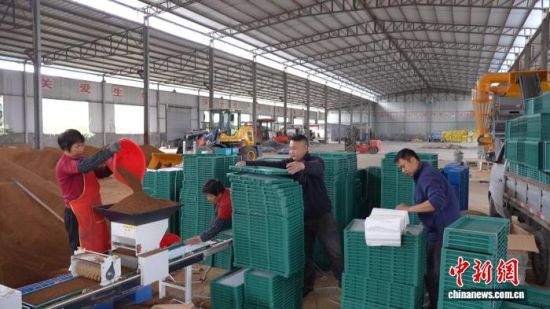 ͼΪ���������ڣ������Ƿֹ�Э������ׯ����