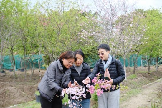 ���գ���һ�����ҽ���ũ��ӣ����