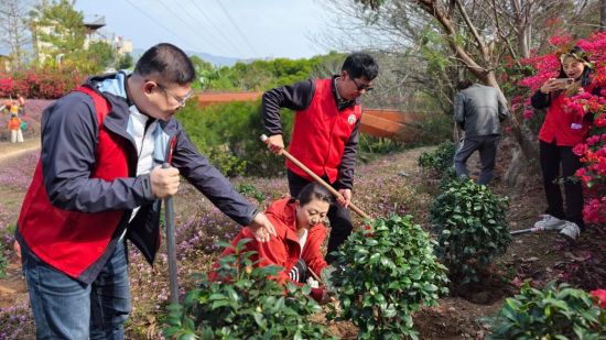 省新联会党支部开展“植绿刺桐 共绘生态新画卷”2026年泉州山线绿道公益植树活动