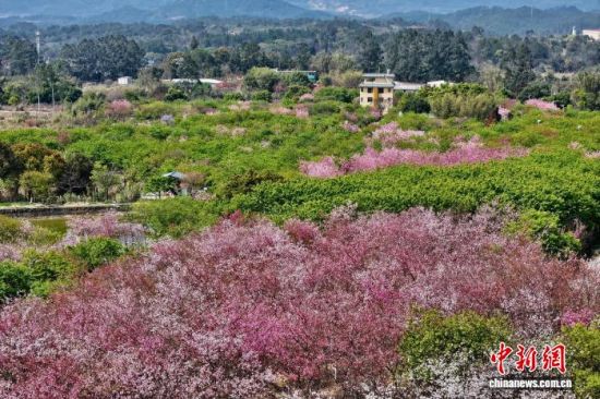 3��17�գ�����������ӣ���Ŵ���Ũ��(���˻���Ƭ)��������� ������ ��