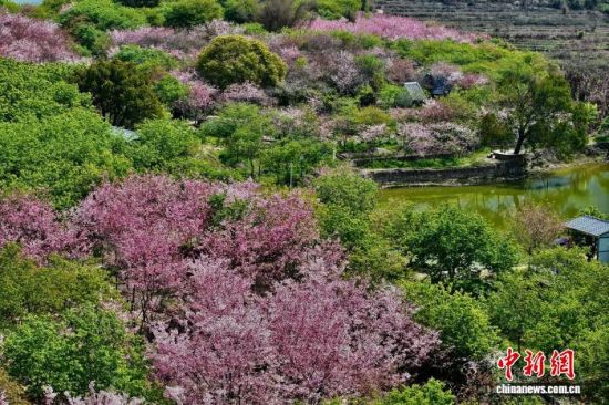 3��17�գ�����������ӣ���Ŵ���Ũ��(���˻���Ƭ)��������� ������ ��