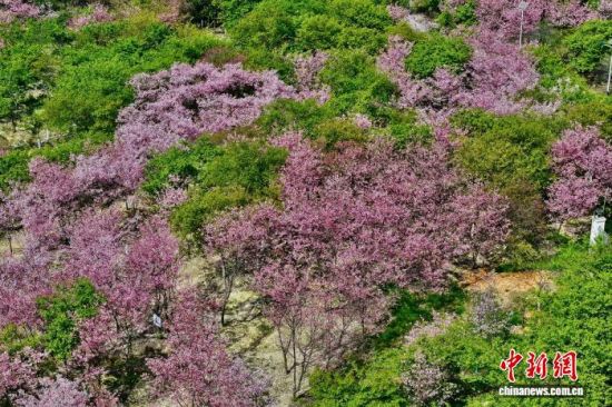 3��17�գ�����������ӣ���Ŵ���Ũ��(���˻���Ƭ)��������� ������ ��