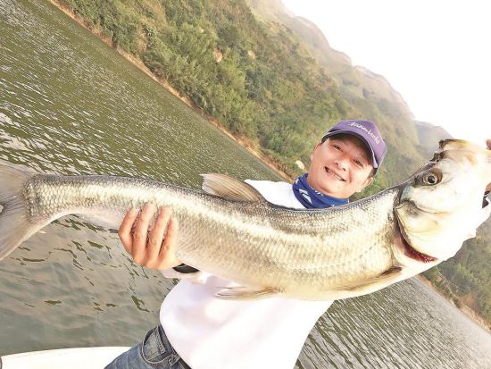 ����һ��·�ǵ����˵������㡣