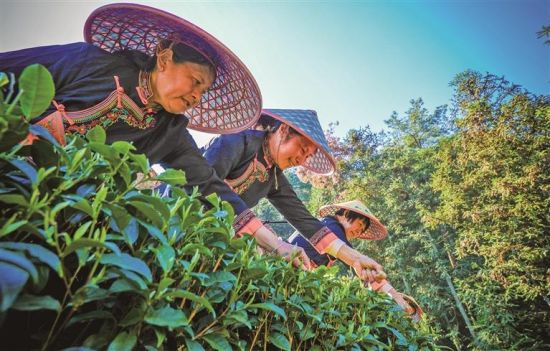 �ɲ蹤�����ڲɲ�