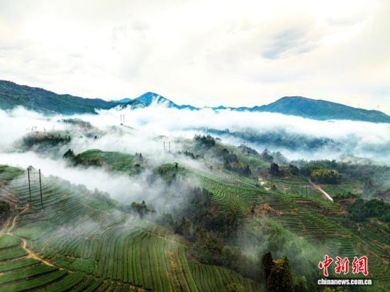 ������ɽ�ϲ�¢���������������Ρ������� ��