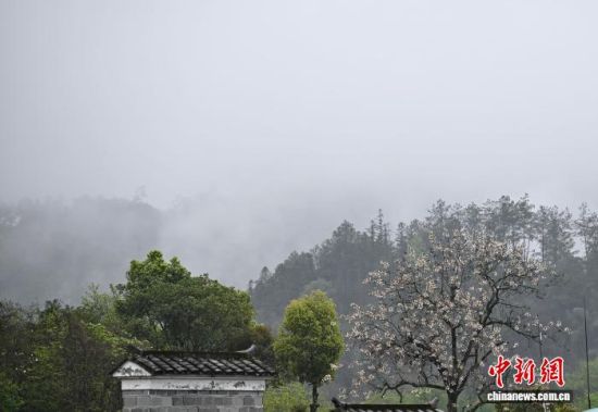 3月22日，福建南平，烟雨笼罩下的武夷山，在云雾中朦朦胧胧若隐若现，宛若水墨画境，美不胜收。中新社记者 张斌 摄