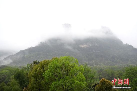 3月22日，福建南平，烟雨笼罩下的武夷山，在云雾中朦朦胧胧若隐若现，宛若水墨画境，美不胜收。中新社记者 张斌 摄