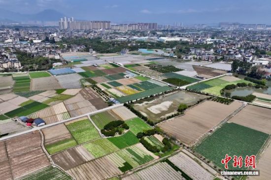 3��25�գ����и����ʡ��������ͨ���߲˻��ء�(���˻���Ƭ)��������� ������ ��