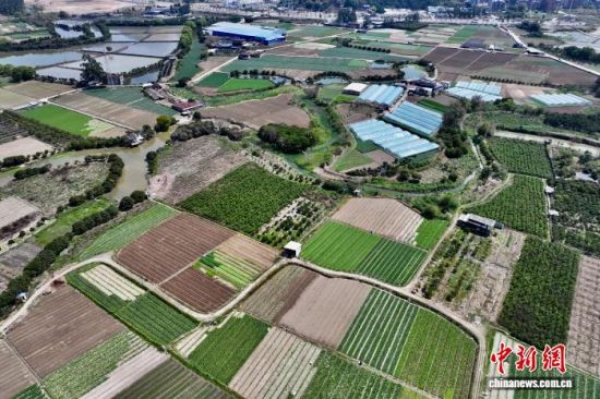 3��25�գ����и����ʡ��������ͨ���߲˻��ء�(���˻���Ƭ)��������� ������ ��