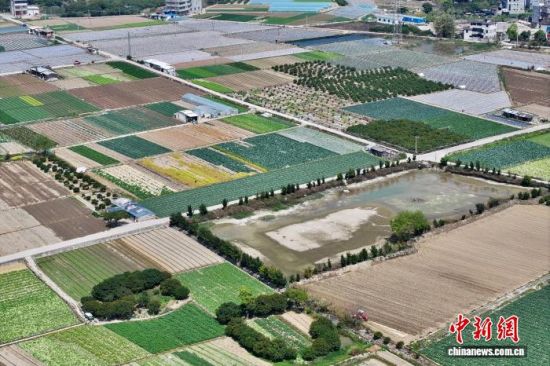 3��25�գ����и����ʡ��������ͨ���߲˻��ء�(���˻���Ƭ)��������� ������ ��