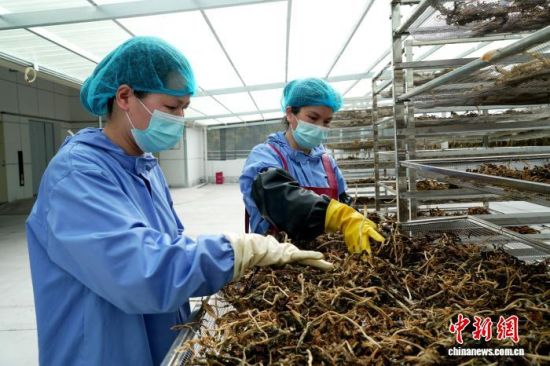 3��26�գ��ڸ���ʡ�������������ִ���ɫũ��Ʒ�Ƽ���ҵ�����׶������ڣ�ȫ�Զ���������������ת�������˸����������ϴ��Ư�̡���ɵȹ��򡣻���Ƽ ��