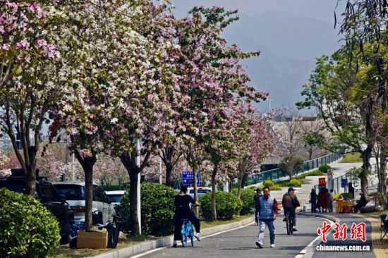 3��27�գ��������ݣ����������ڷ���ʢ�������е��ϡ���������� ������ ��