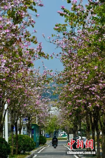 3��27�գ��������ݣ��������д����ڷ����е��Ľ�ͷ����������� ������ ��