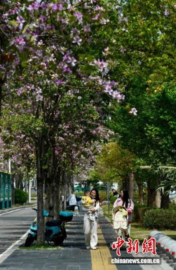 3��27�գ��������ݣ����������ڷ���ʢ�������е��ϡ���������� ������ ��