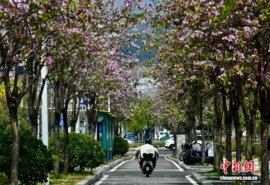 3��27�գ��������ݣ��������д����ڷ����е��Ľ�ͷ����������� ������ ��