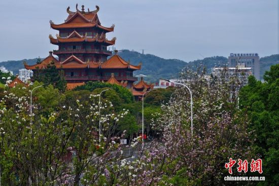 ͼΪ����׻��������¹Ž������ӳ�������˻���Ƭ����������� ������ ��