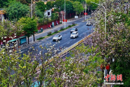 3��26�գ�����ʡ�����й�ҵ·�ϵľ���������׻��������ţ����е�·�������������������˻���Ƭ����������� ������ ��