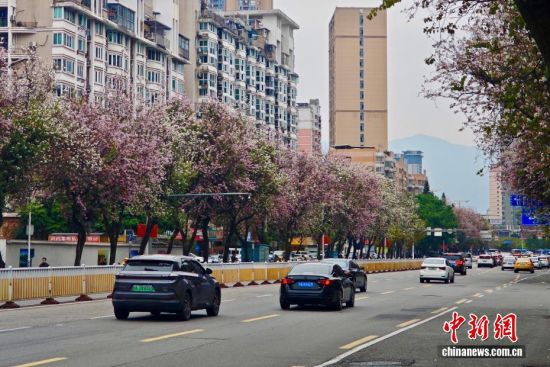 3��26�գ�����ʡ�����й�ҵ·�ϵľ���������׻��������ţ����е�·����������������������� ������ ��