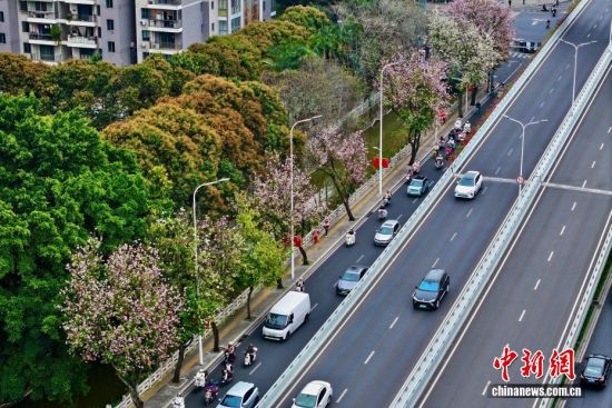 3��26�գ�����ʡ�����й�ҵ·�ϵľ���������׻��������ţ����е�·�������������������˻���Ƭ����������� ������ ��