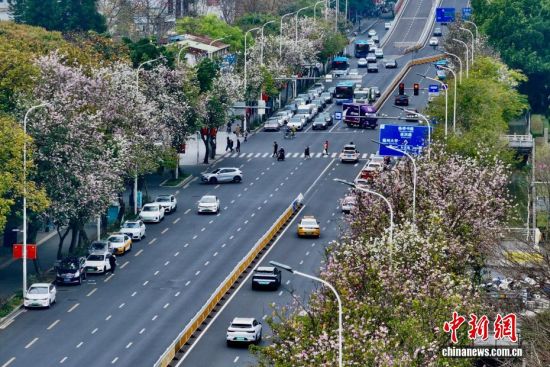 3��26�գ�����ʡ�����й�ҵ·�ϵľ���������׻��������ţ����е�·�������������������˻���Ƭ����������� ������ ��