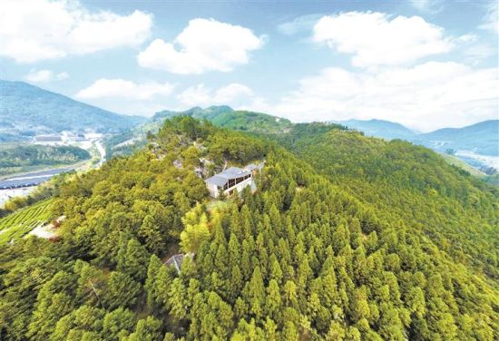 �����ء����⡱��̬����ѧϰʵ�����أ���̬ʵ������Ȼ֮���������ڣ������ɫ��չ��ͼ��������� ��