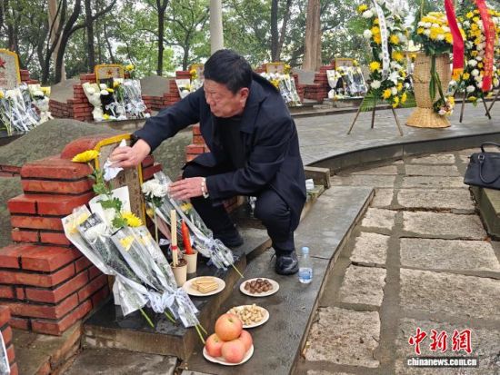 ����֥С�����������������Ĺ������̩����ý�����Ĺ�ͼ