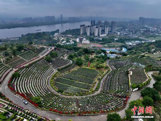 4��3�գ��������ݣ����и��һ��̬��԰�������ٽ�����̬��԰���ɰص��䡢��ľ���ף����������ⰻȻ�Ļ������廳���ˡ����а�˼��(���˻���Ƭ)��������� ������ ��